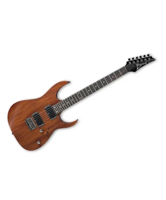 Китари Ibanez RG421 MOL електрическа китара