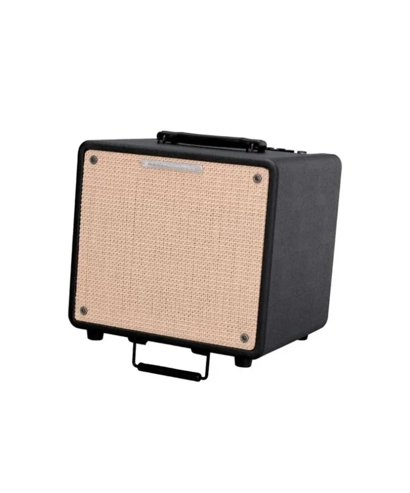 Китари Ibanez T80N-U Troubadour акустичен комбо усилвател 80W