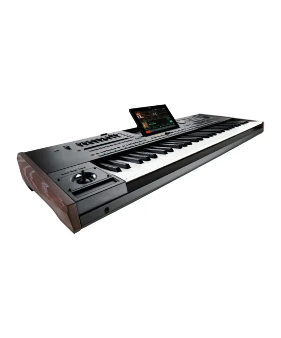 Клавишни инструменти KORG Pa5X 61 Professional Arranger