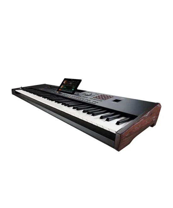 KORG Pa5X 76 Professional Arranger