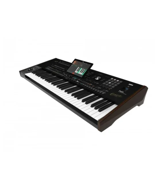 KORG Pa5X 61 ORIENTAL Professional Arranger