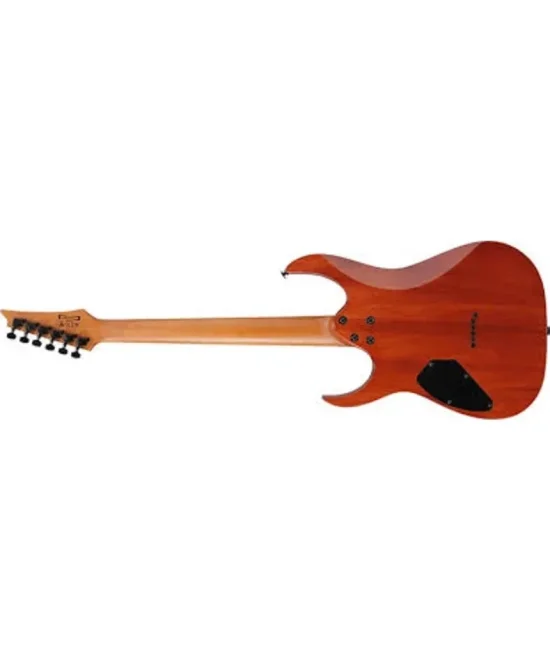 Ibanez GRGR221FA TDK