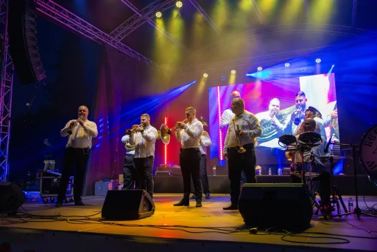 Празник на град Плевен