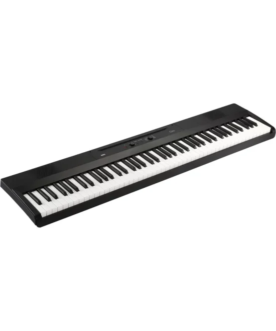 Korg Liano Digital Piano